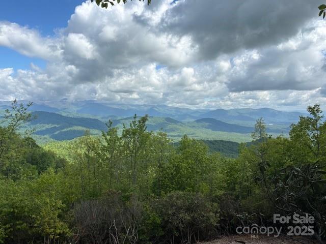 99999 Cliffledge Tr., Black Mountain, NC 28711