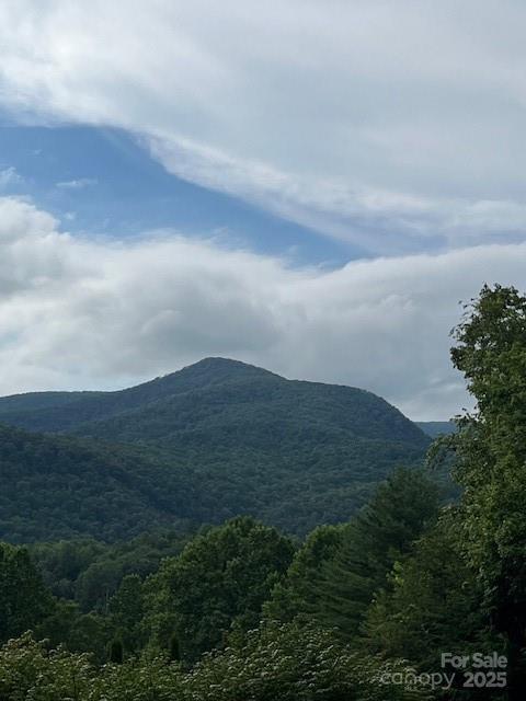 5 Old Cove Rd., Black Mountain, NC 28711