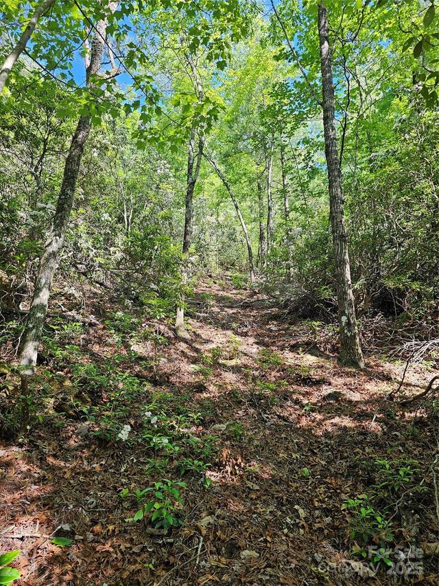 101 Arbor View Dr., Marion, NC 28752