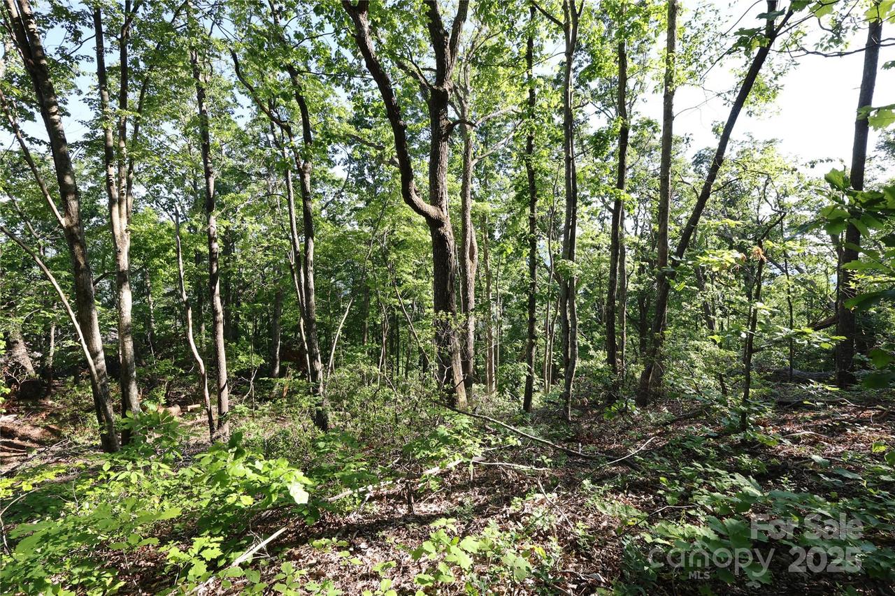 9999 Crestview Dr. #D-3, Black Mountain, NC 28711