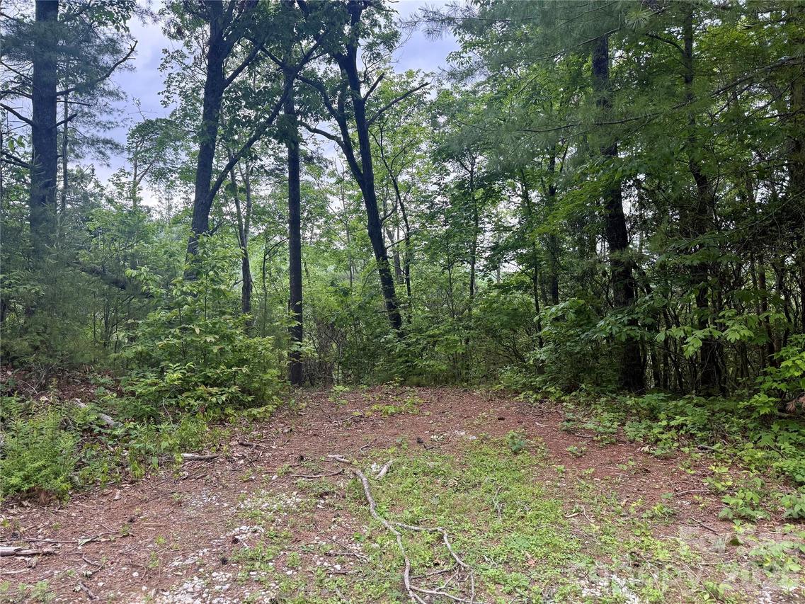 000 Wipprecht Dr., Spruce Pine, NC 28777