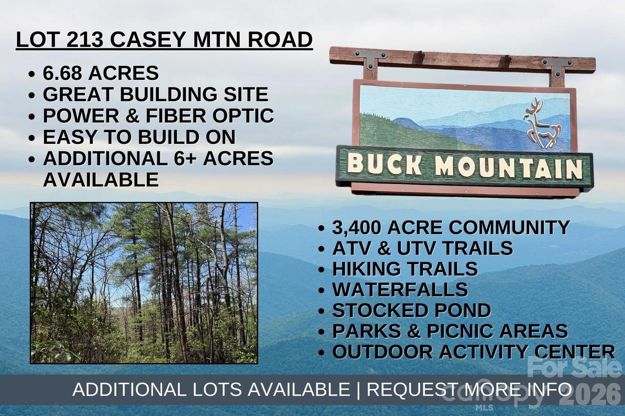 TBD Casey Mountain Rd. #213, Purlear, NC 28665