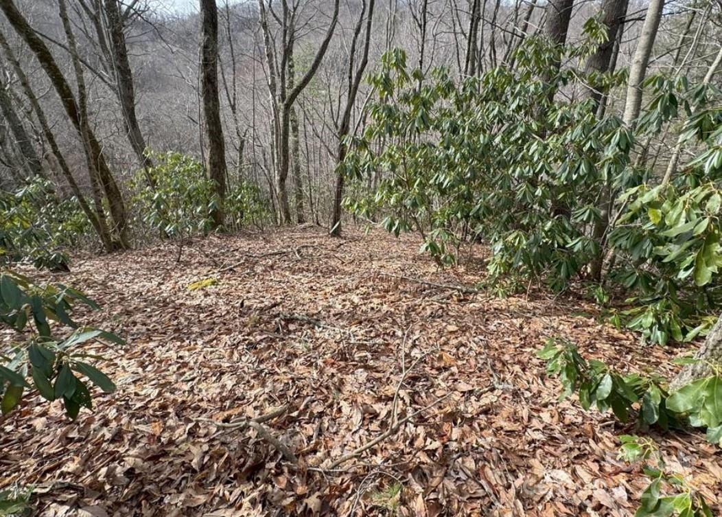 TBD Big Ridge Rd., Bakersville, NC 28705