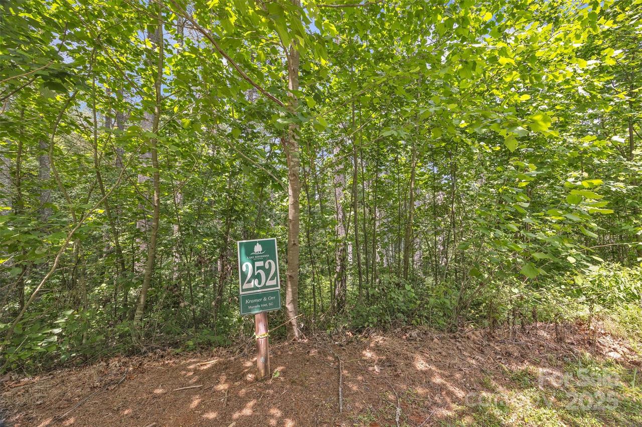 486 E Settings Blvd. #252, Morganton, NC 28655