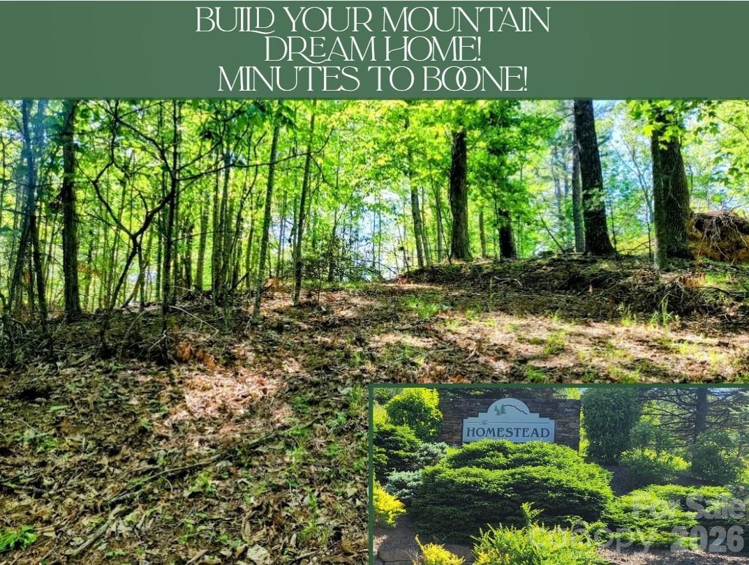 TBD Lucky Leaf Ln., Vilas, NC 28692