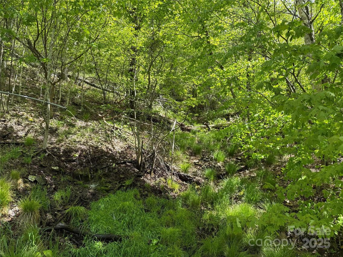 19 Wakeman Way Way, Banner Elk, NC 28604