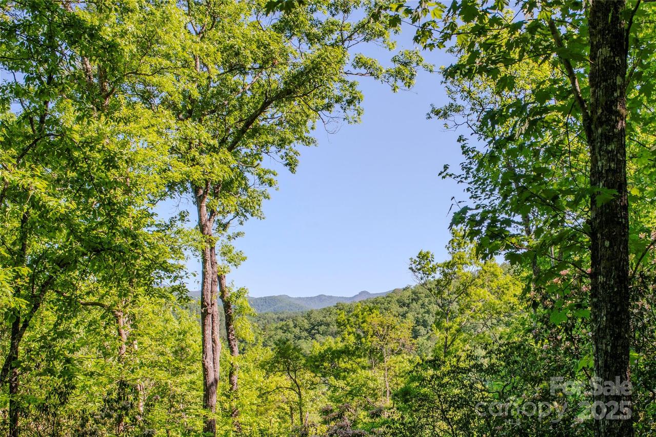 TBD Richland Ridge Rd., Lake Toxaway, NC 28747