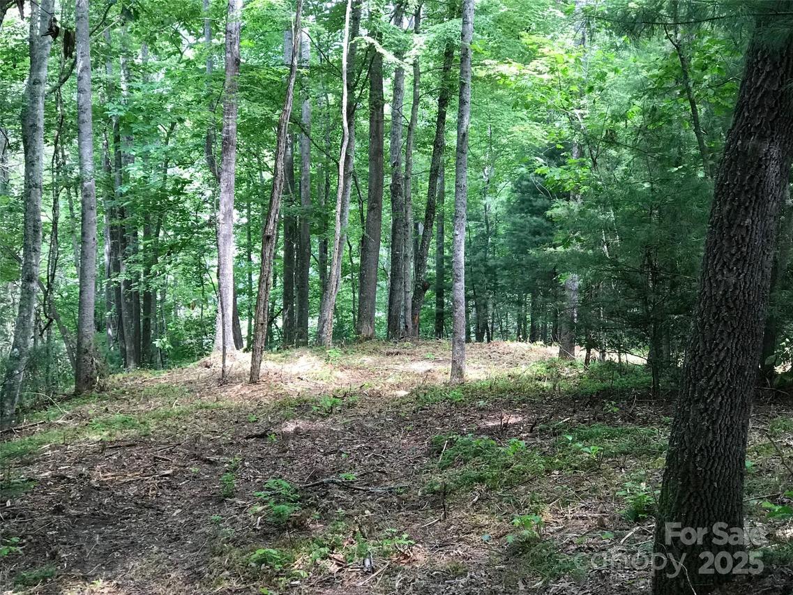 68 Fallsbrook Dr., Tuckasegee, NC 28783