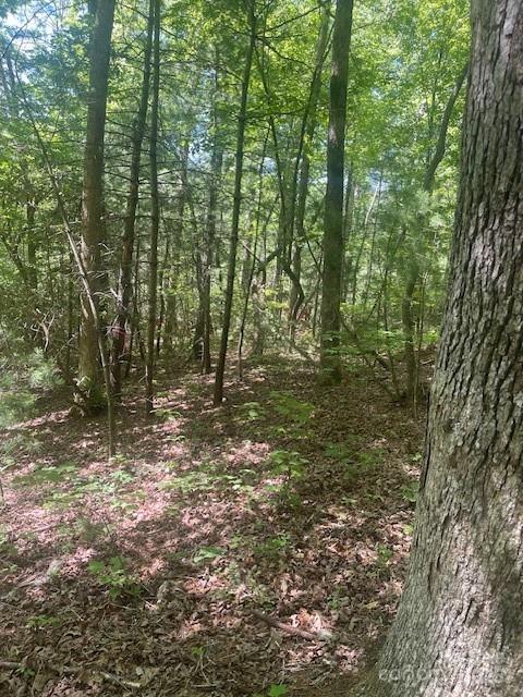 Lot 10 Copperhead Tr., Hendersonville, NC 28739