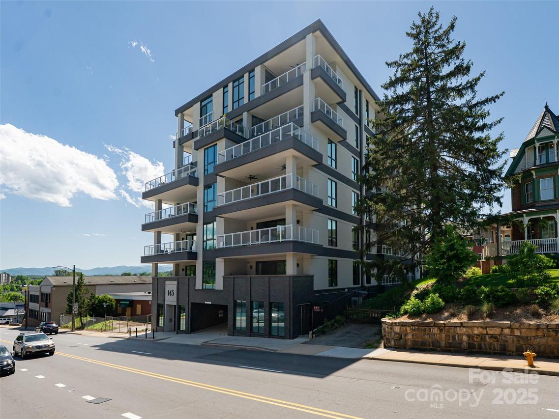 145 Biltmore Ave. #303, Asheville, NC 28801