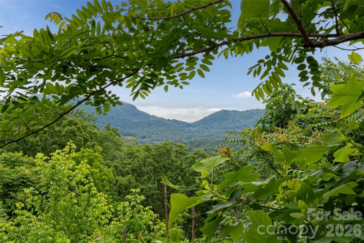 22 Samuel Ashe Dr. #45, Asheville, NC 28805