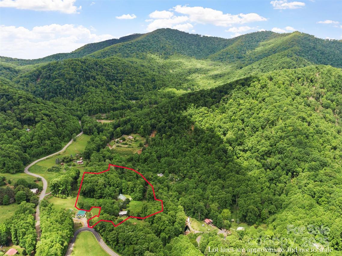 11820 State Highway 197 None, Burnsville, NC 28714