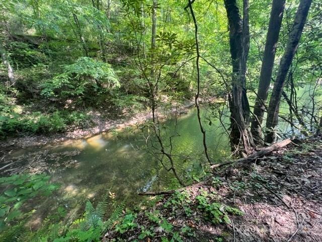 Lot 2 Calvin Cove, Almond, NC 28702