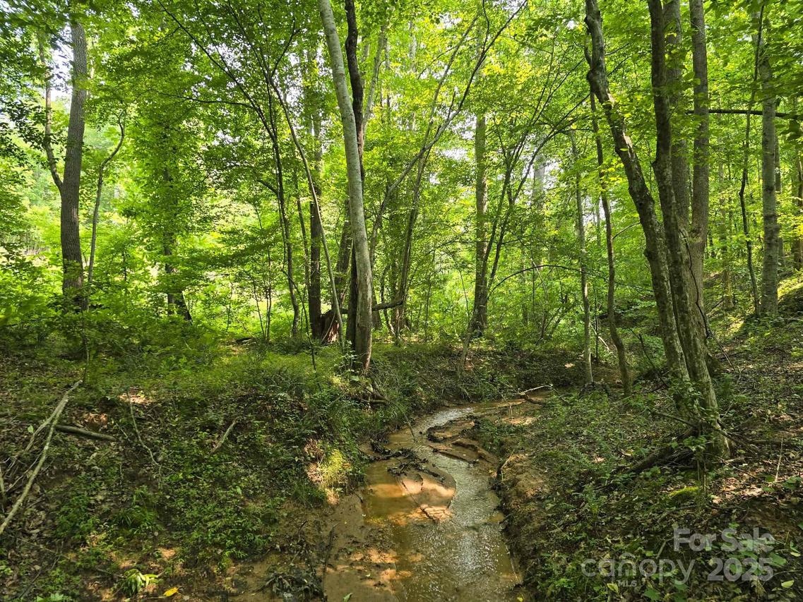 Lot 26 Grandview Dr. #26, Rutherfordton, NC 28139