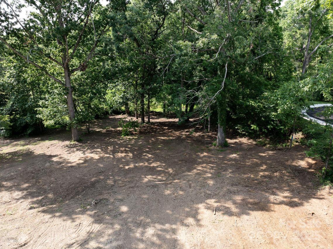 33 Reese St., Asheville, NC 28804