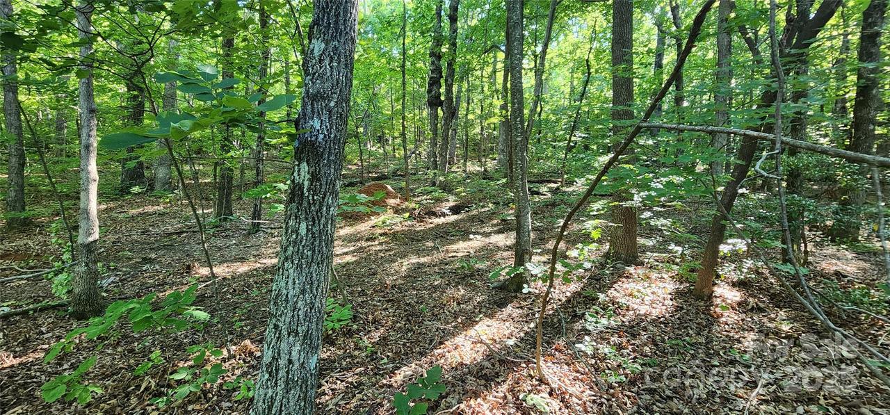 Lot 71 Serpentine Dr. #71, Columbus, NC 28722