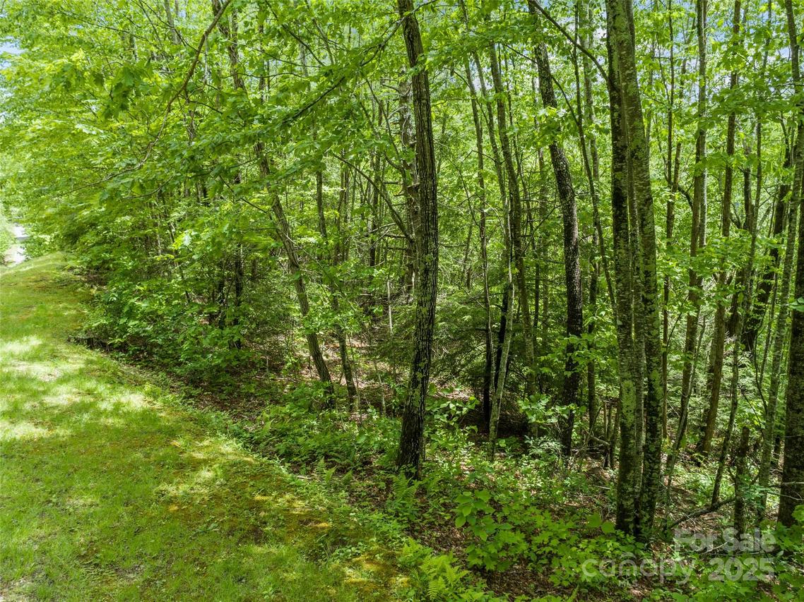 000 N Ridge Runner Rd. #92, Burnsville, NC 28714