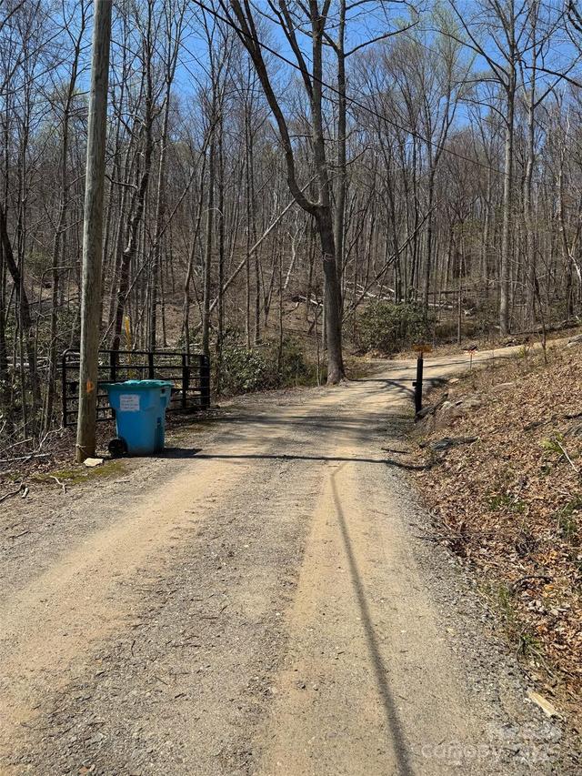 99999 Long Branch Rd. #1, Swannanoa, NC 28778