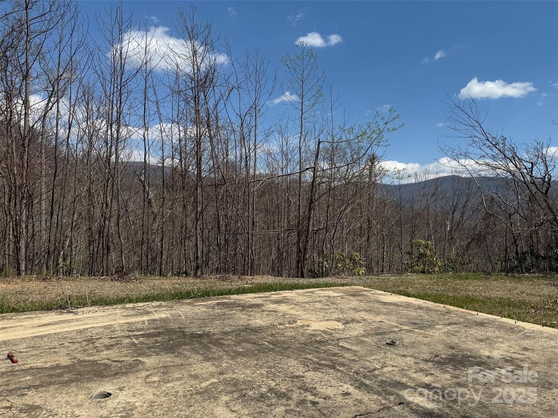 99999 Long Branch Rd. #2, Swannanoa, NC 28778