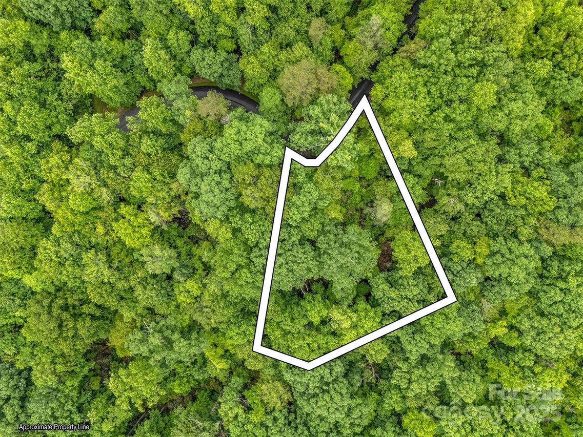 Quail Ridge Rd. #214, Rutherfordton, NC 28139