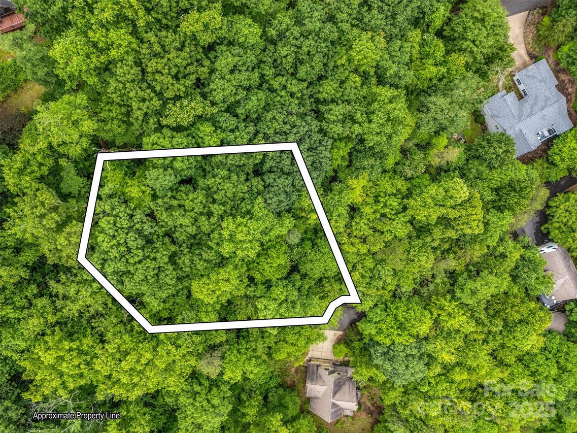 Hummingbird Ct., Lake Lure, NC 28746