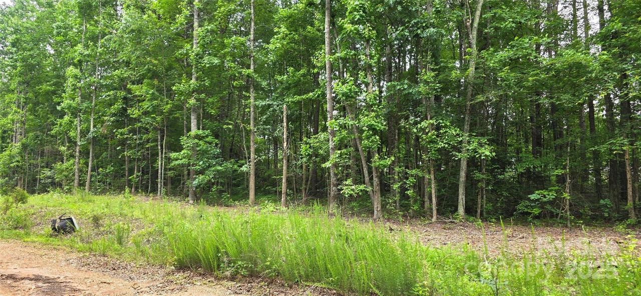 Lot 72 & 73 Meandering Ln. #72 & 73, Lincolnton, NC 28092