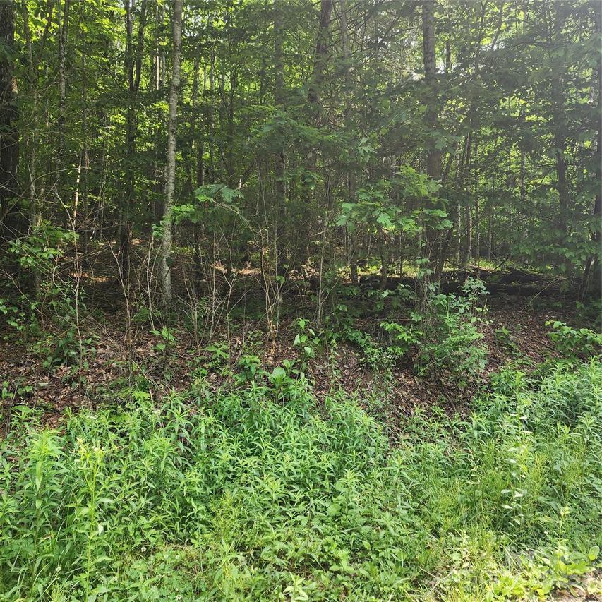 00 Poplar Creek Rd., Green Mountain, NC 28740