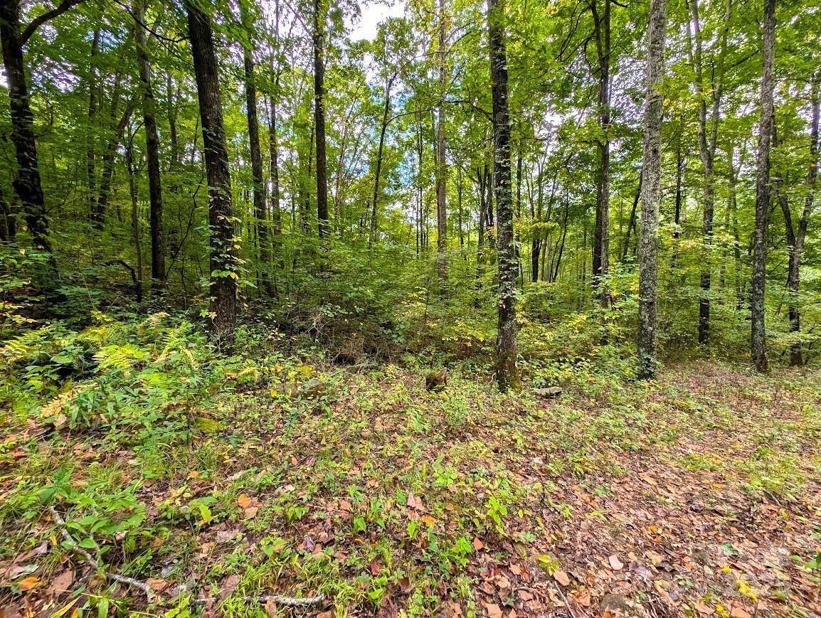 00 Staghorn Dr., Waynesville, NC 28785