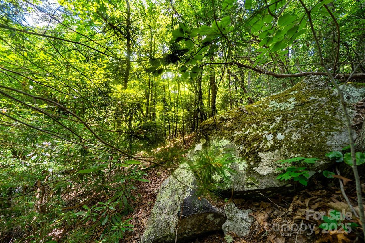 00000 Foster Hill Dr. #3, Hendersonville, NC 28739