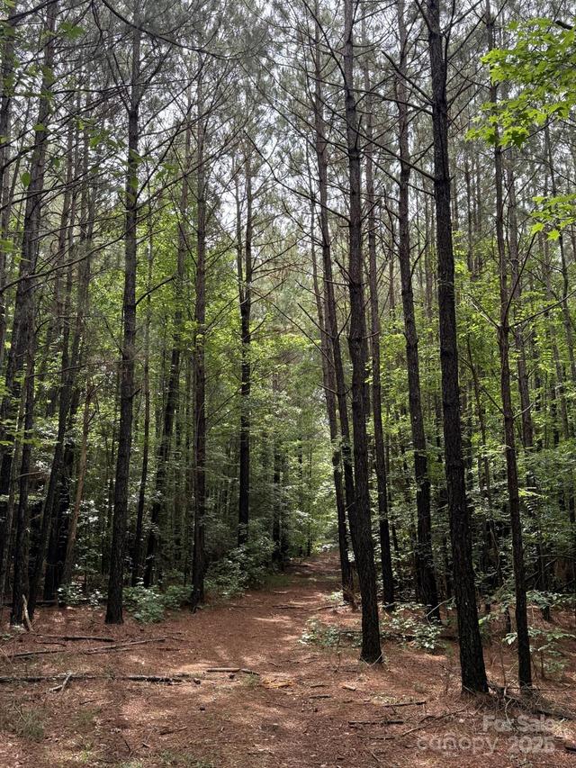 325 Kennedy Rd., Eagle Springs, NC 27242