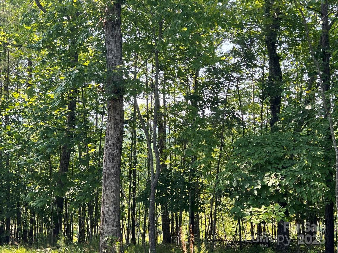 1015 Cross Ridge Dr., Rutherfordton, NC 28139