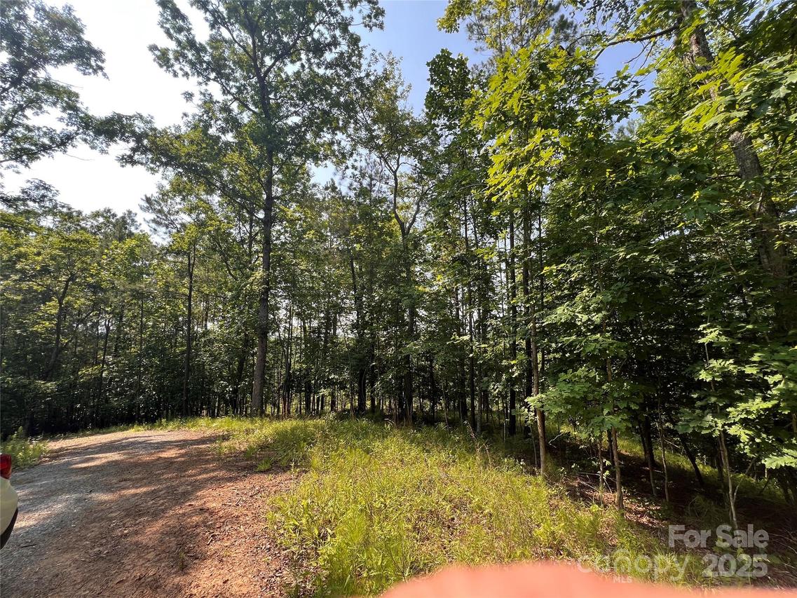 1015 Cross Ridge Dr., Rutherfordton, NC 28139