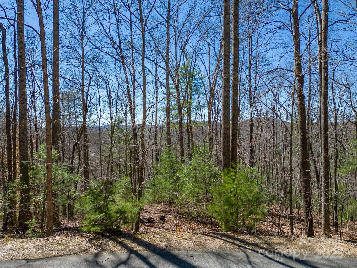132 Overlook Park Dr. #51, Hendersonville, NC 28792