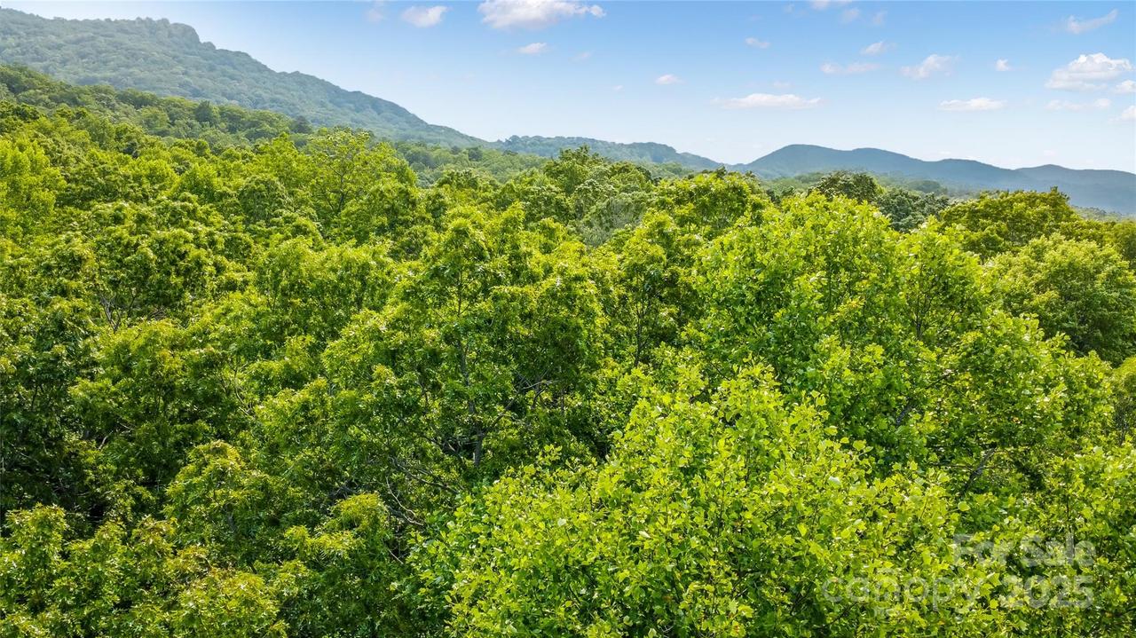 00 Morgan Hill Rd., Fairview, NC 28730