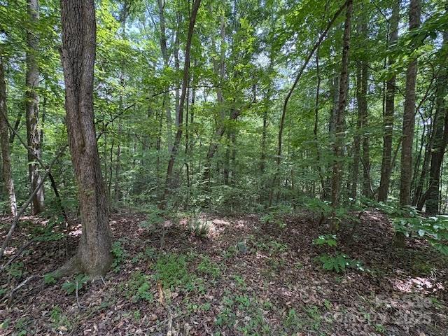 8145 Rowe St., Catawba, NC 28609