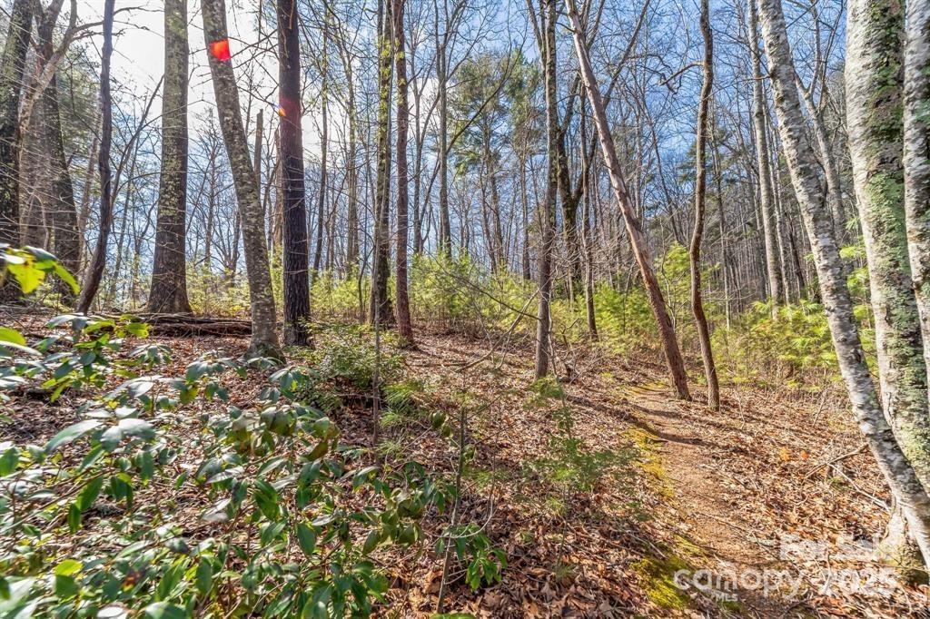 99999 Parker Rd. #3, Asheville, NC 28805