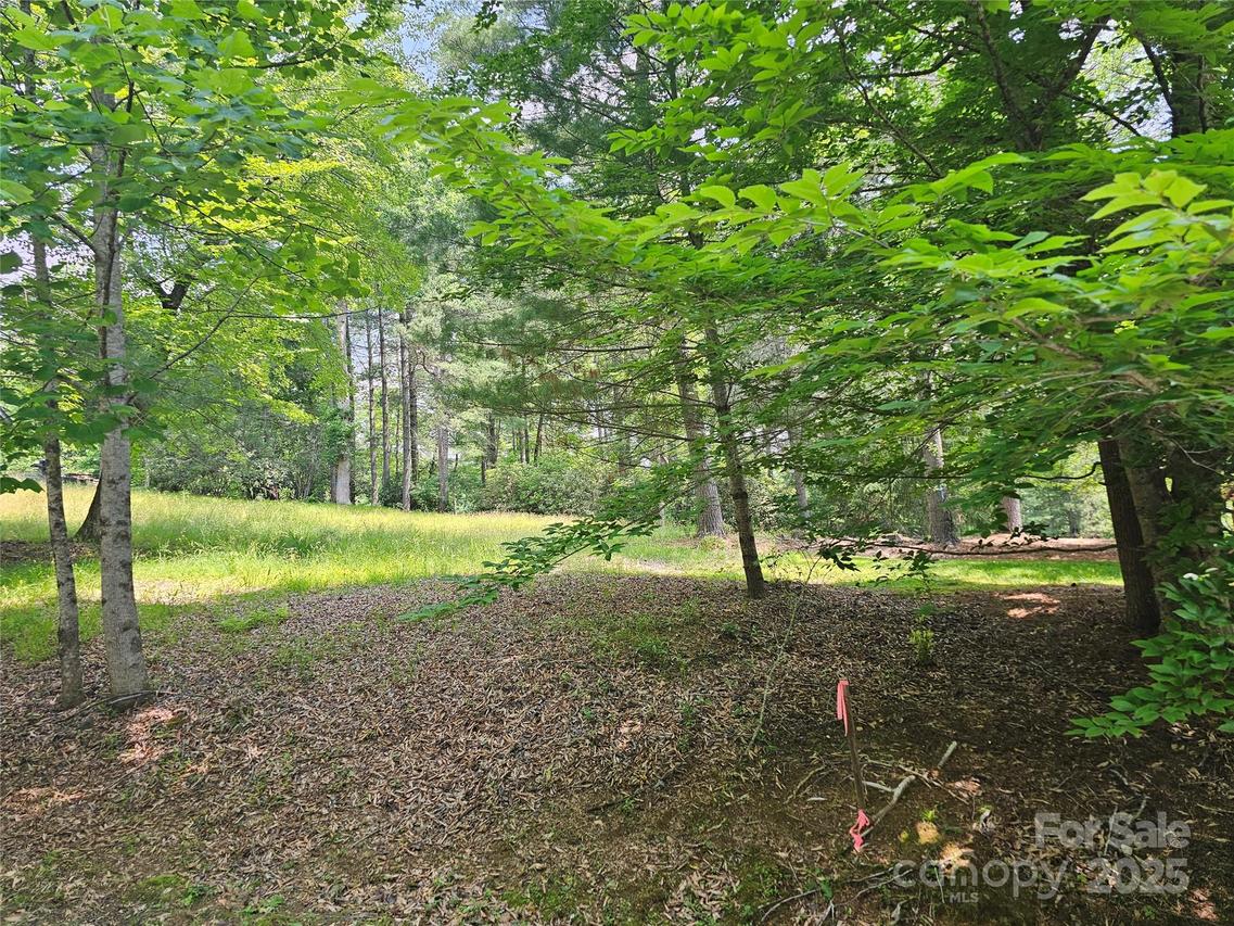 A3 Allison Creek Tr., Brevard, NC 28712
