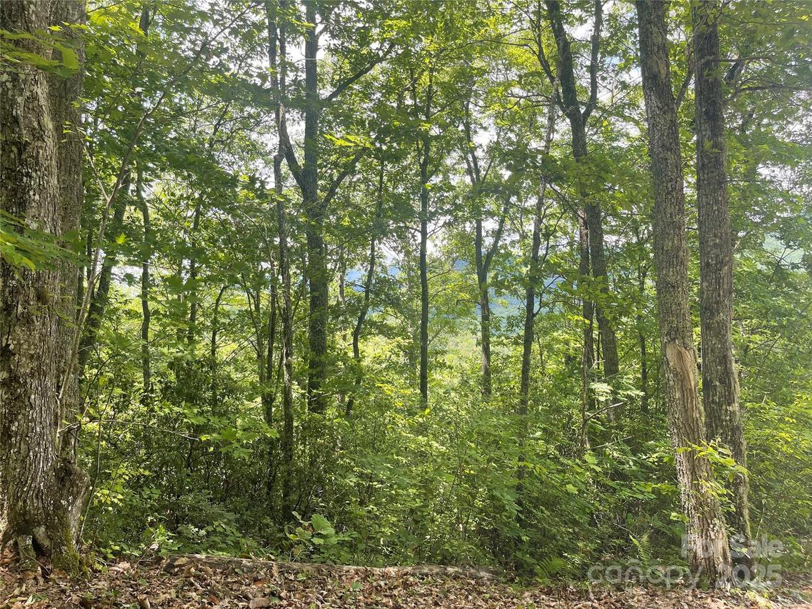 500 Fernwood Dr., Bryson City, NC 28713