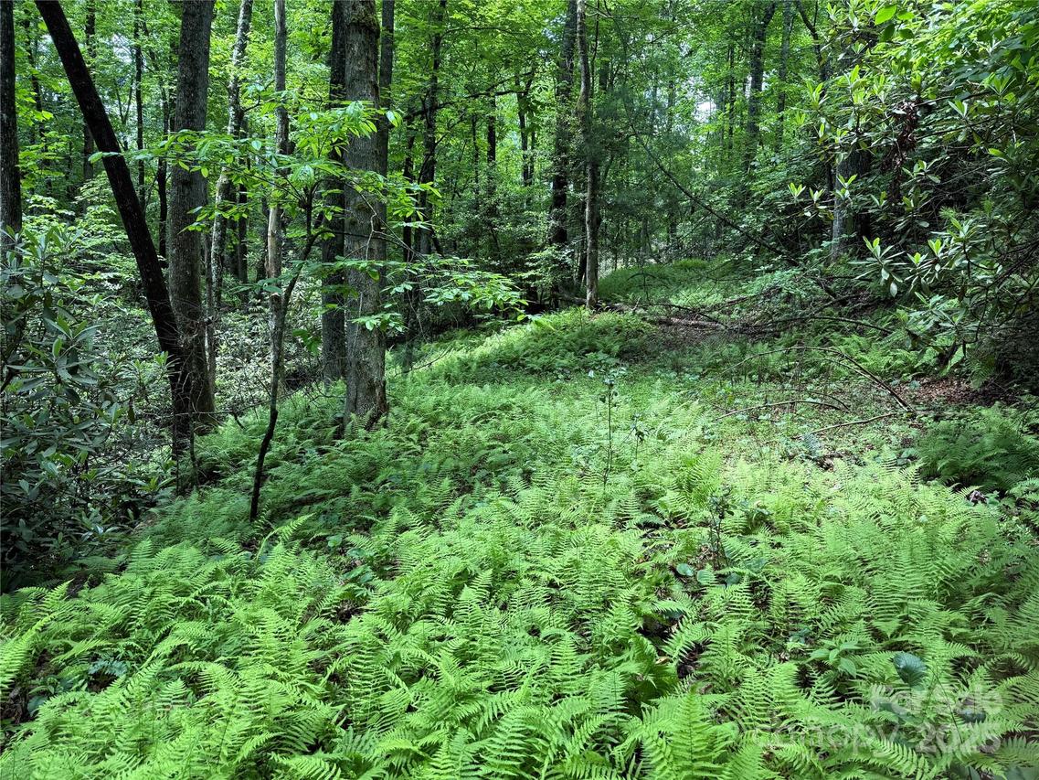 TBD Caroline Ln. #7R, Pisgah Forest, NC 28768