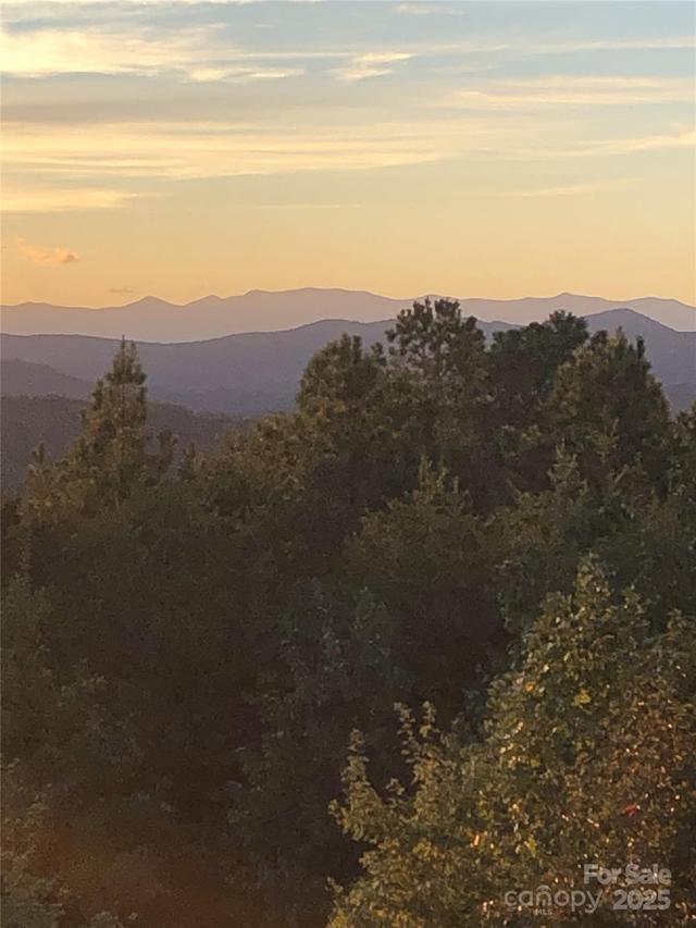 000 Mountain Lookout Dr. #Lot 82, Bostic, NC 28018
