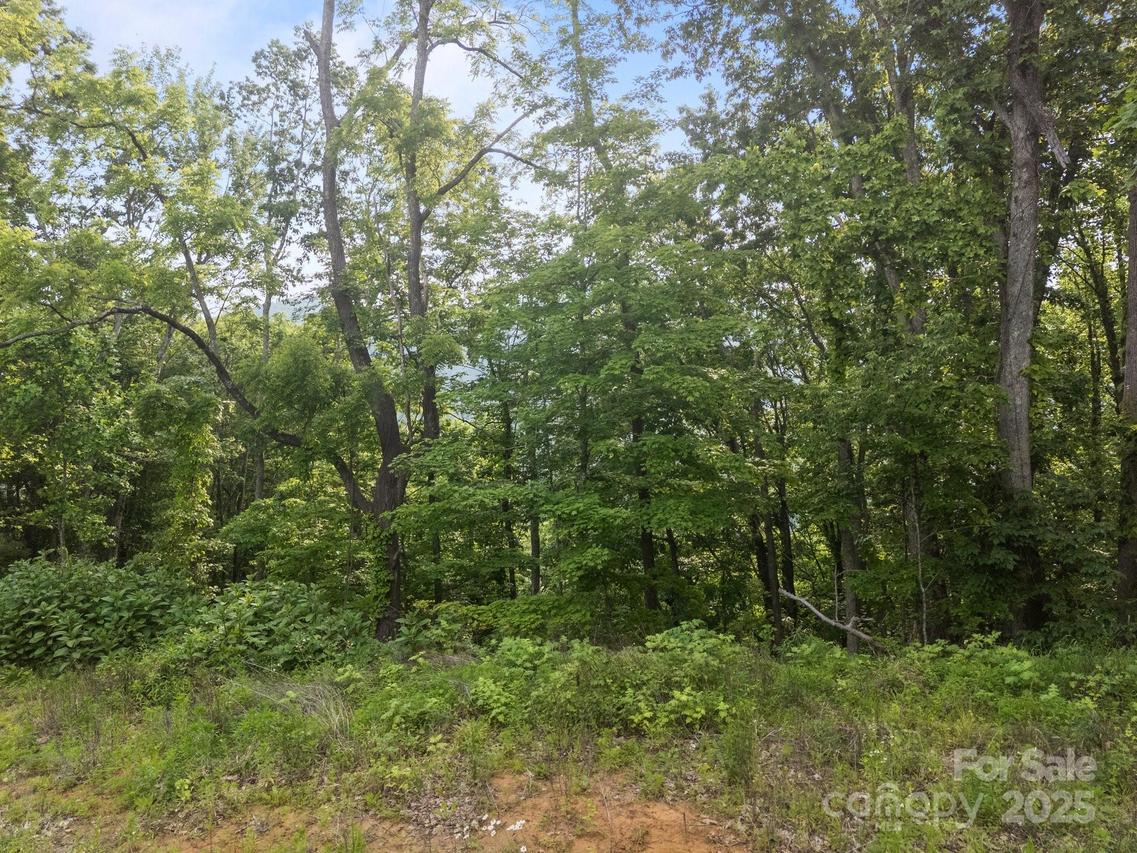 00 Granny Shepherd Rd., Mars Hill, NC 28754