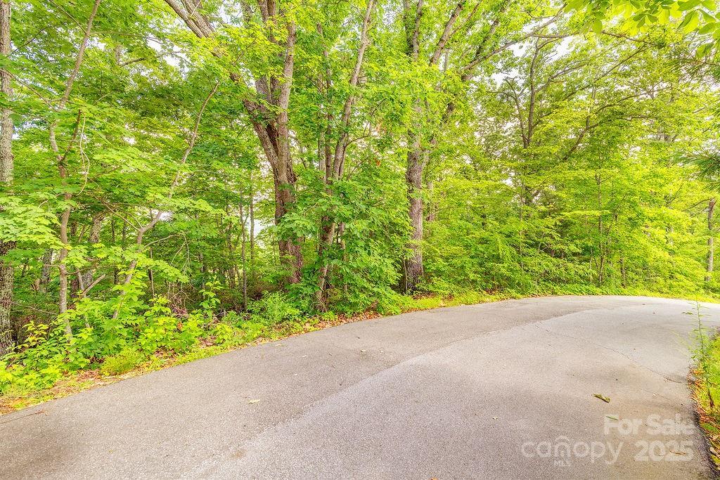 99999 Pheasant Ridge Rd. #14, Fairview, NC 28730
