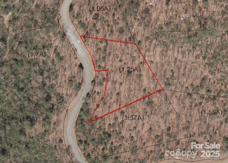 Pinnacle Falls Ln. #23, Zirconia, NC 28790