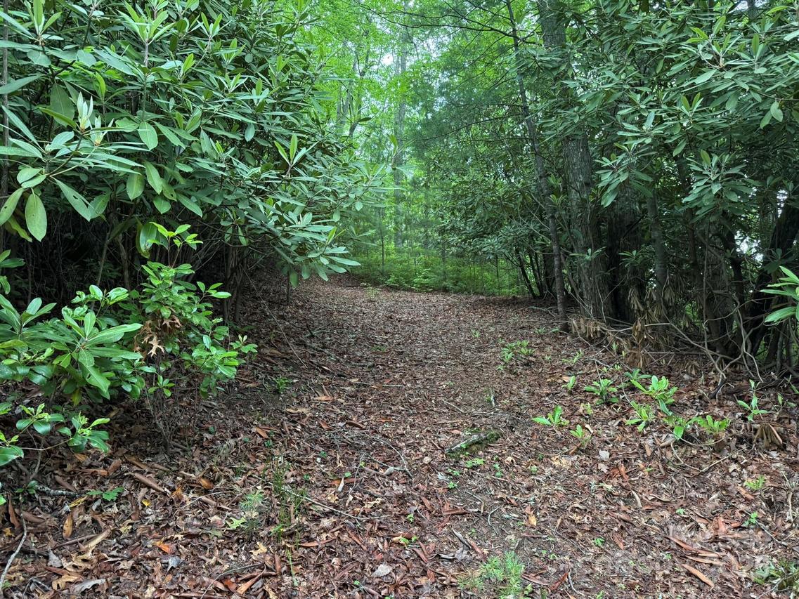 TBD Blueberry Tr. #14, Lake Toxaway, NC 28747