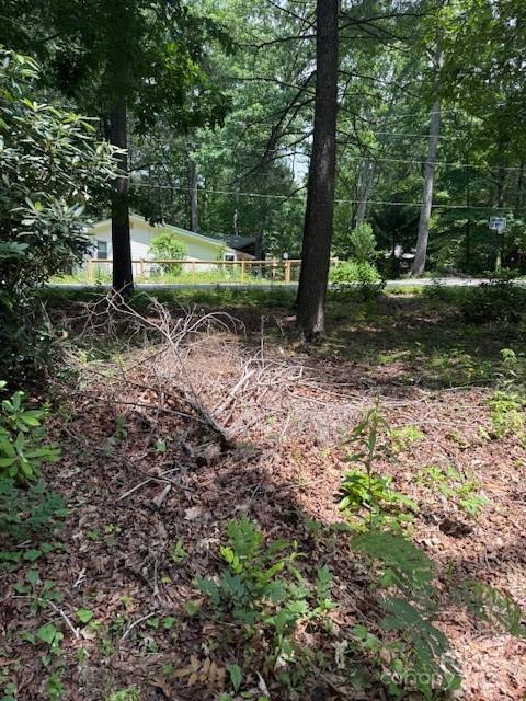 99999 Laurel Ln. #2, Black Mountain, NC 28711