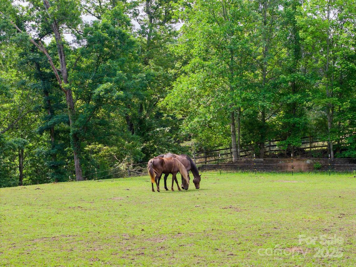777 S River Rd., Tryon, NC 28782