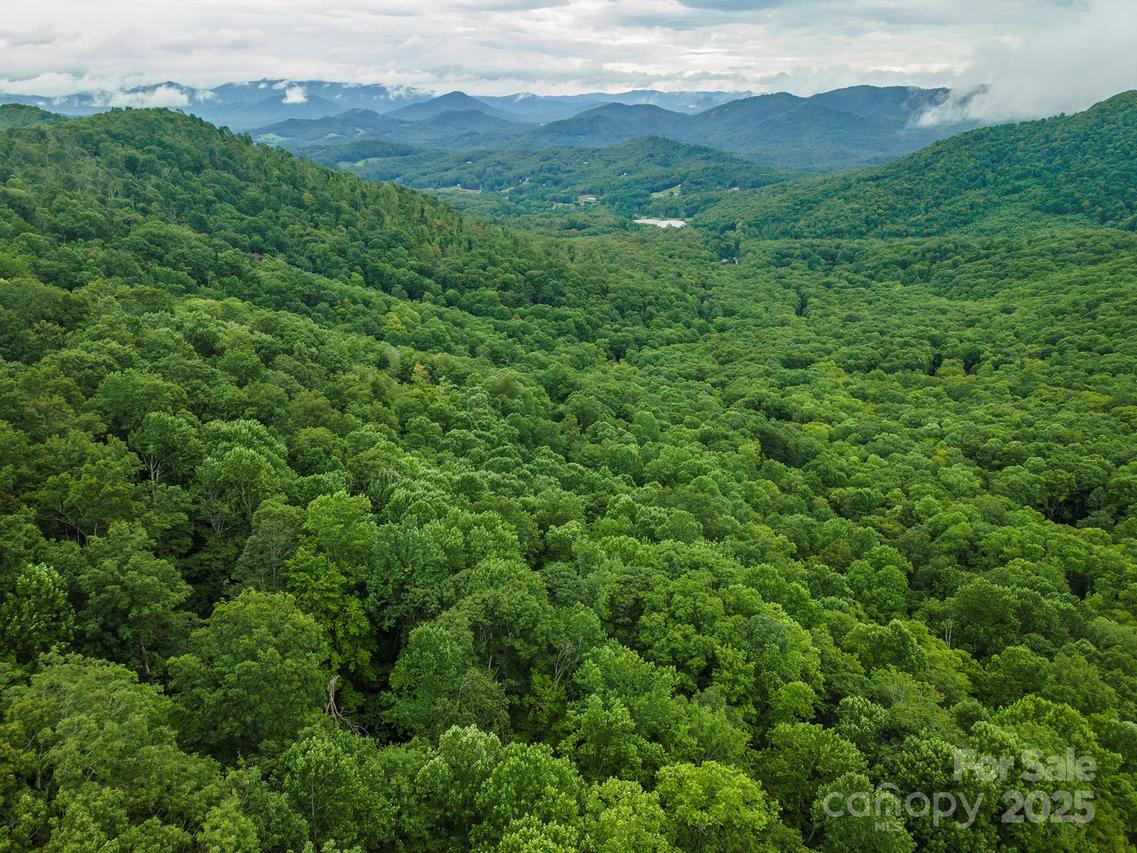25 Hickory Springs Rd., Burnsville, NC 28714