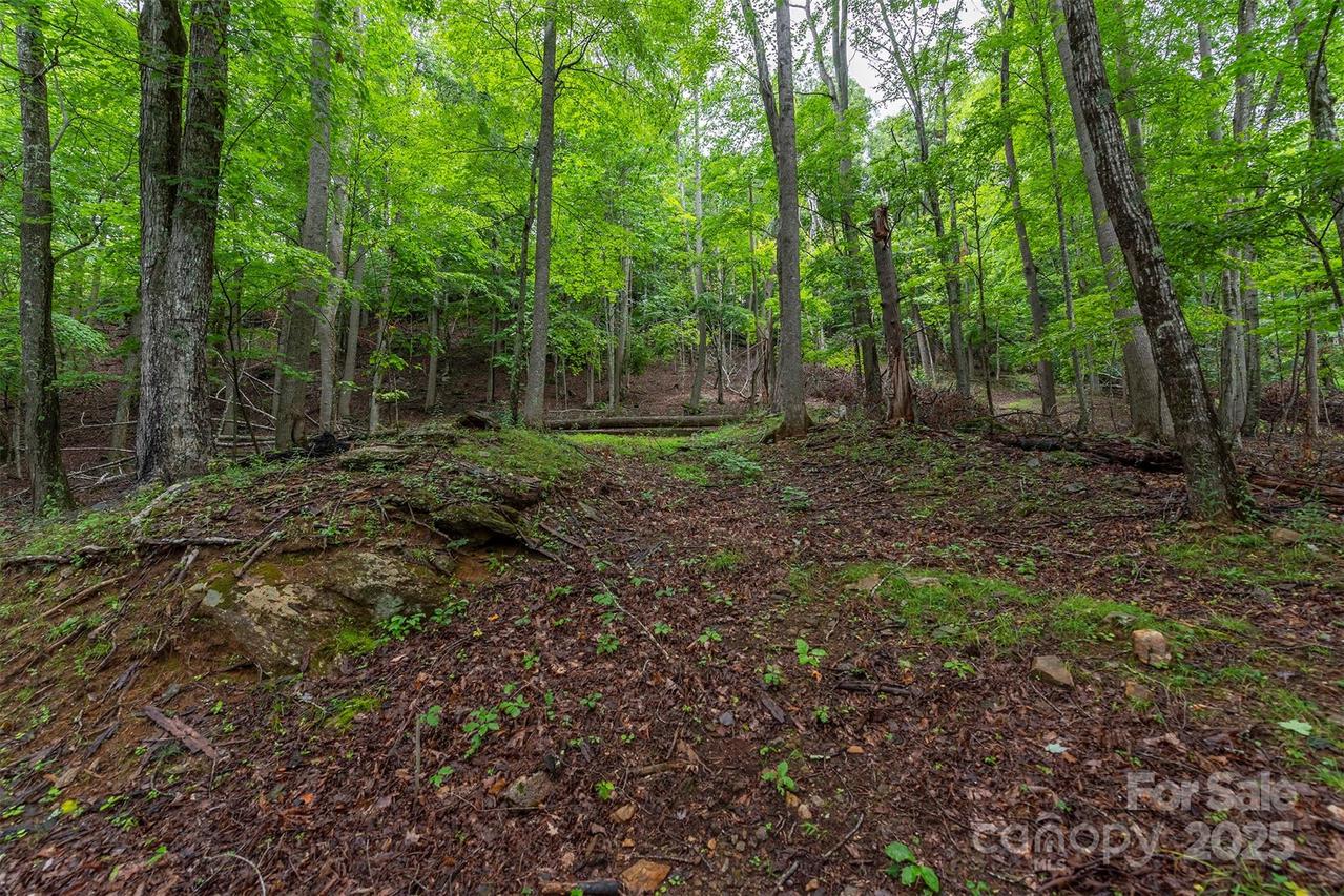 25 Hickory Springs Rd., Burnsville, NC 28714