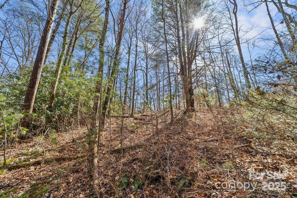 99999 Parker Rd. #4, Asheville, NC 28805