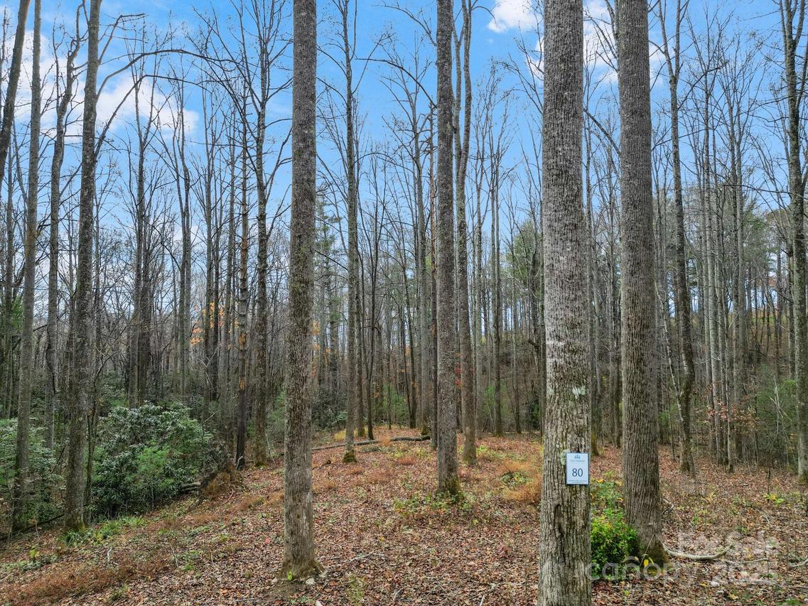 Lot 80 Mountain Grove Ln., Fletcher, NC 28732